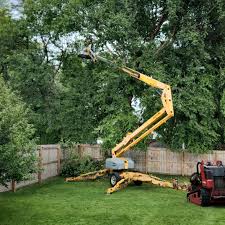 Best Lawn Maintenance Plans  in Terre Haute, IN